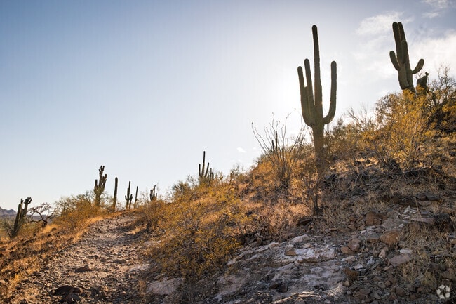 Kroeger residents enjoy the desert beauty surrounding the neighborhood.
