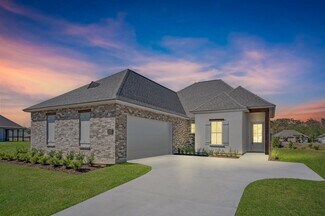 21489 Blue Fin Dr, Springfield, LA 70462