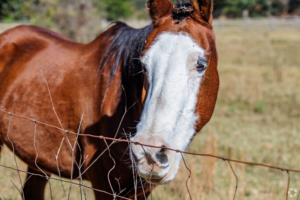 FInal_NH_RittersLake_527366_P2_V1_JK_051624