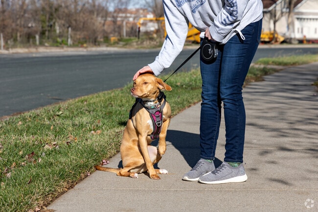 Corcoran's new developments and open land promote exceptional walkability.