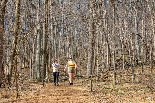 Residents surrounding Radnor Lake State Park love to stroll along the trails near Oak Hill.