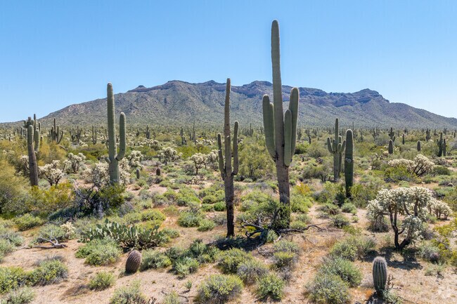 Experience the serene charm of nature in University Manor's breathtaking surroundings.