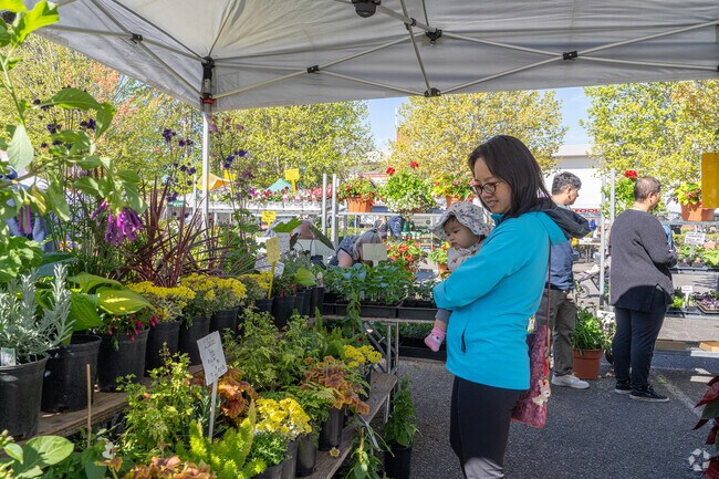 Fill your gardens with local plants from the Beaverton Farmers Market.