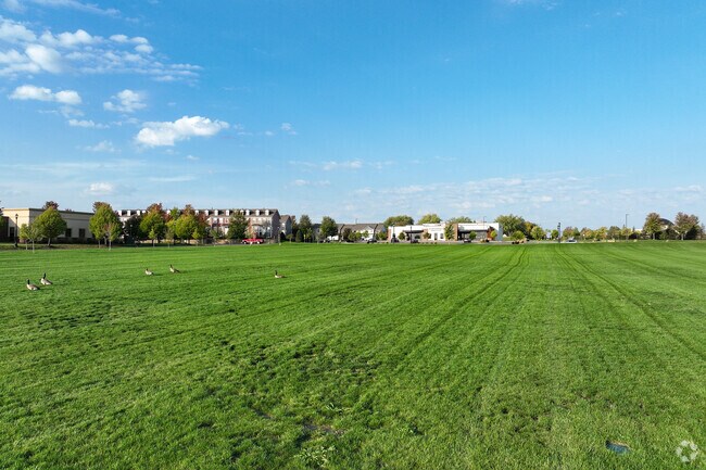 Town Center Park in St. Michael has plenty of greenspace for activities.
