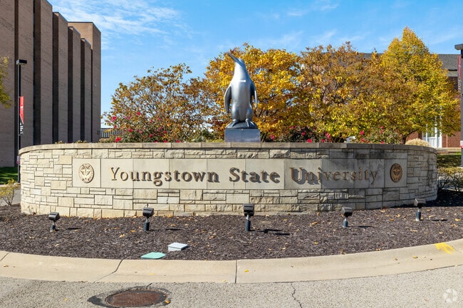 Downtown Youngstown residents have close access to Youngstown State University.