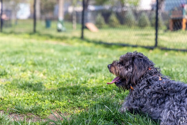 Take the pups out to relax at Florence Korostynski Memorial Dog Park.