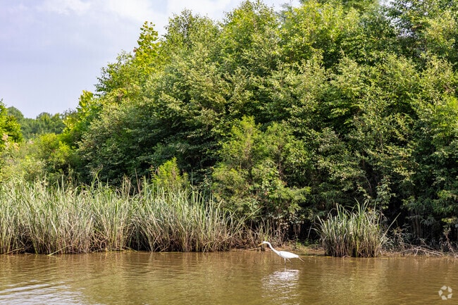 Nature lovers can observed wildlife at River Grove park in Kingwood.