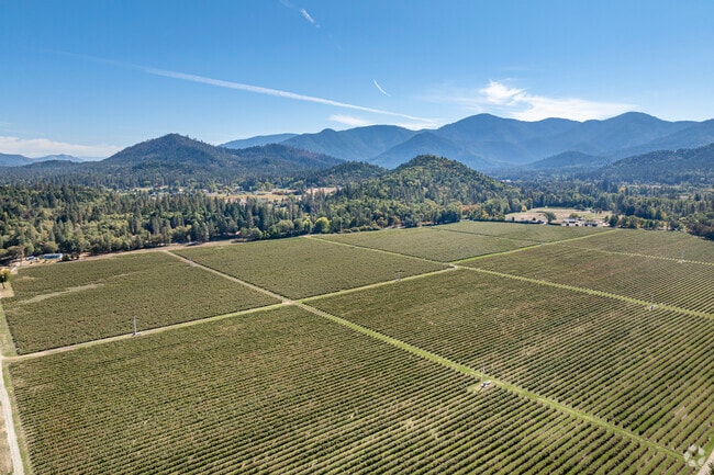 Most commonly found between neighborhoods in Wilderville are large and vast fields for farming.