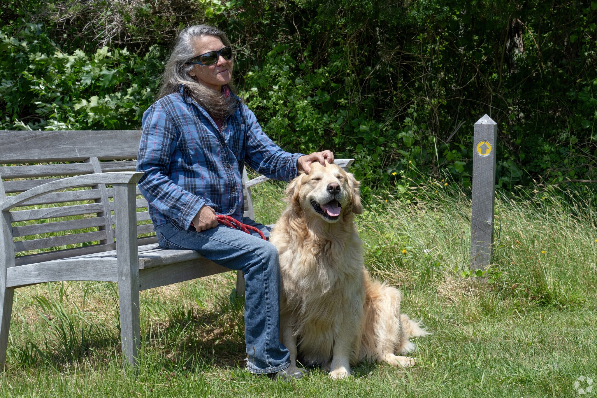 Among the many parks in the Adamsville neighborhood, a dog-friendly one is Westport Woods.