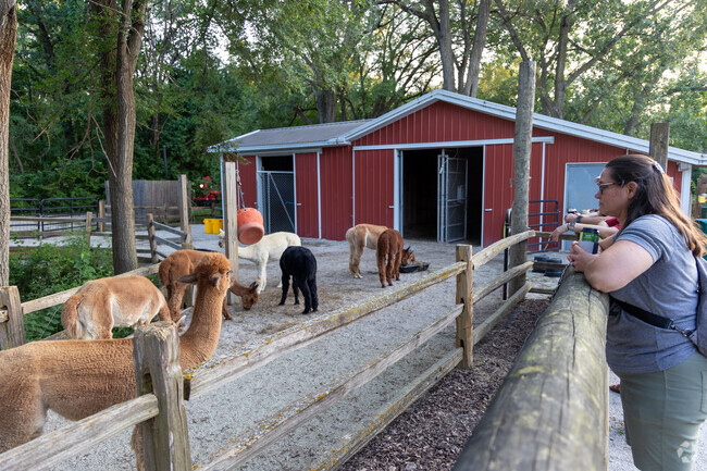 Every week in the summer, South Central DSM residents enjoy Zoo Brew at Blank Park Zoo