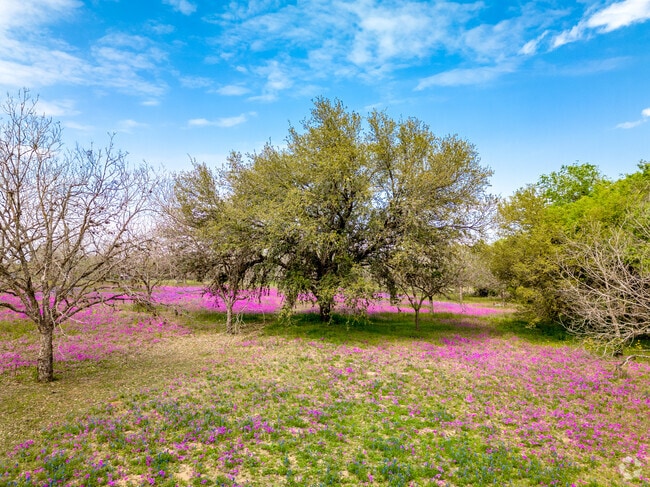 Trees and flowers are present throughout Southeast Side, adding a touch of life and color.