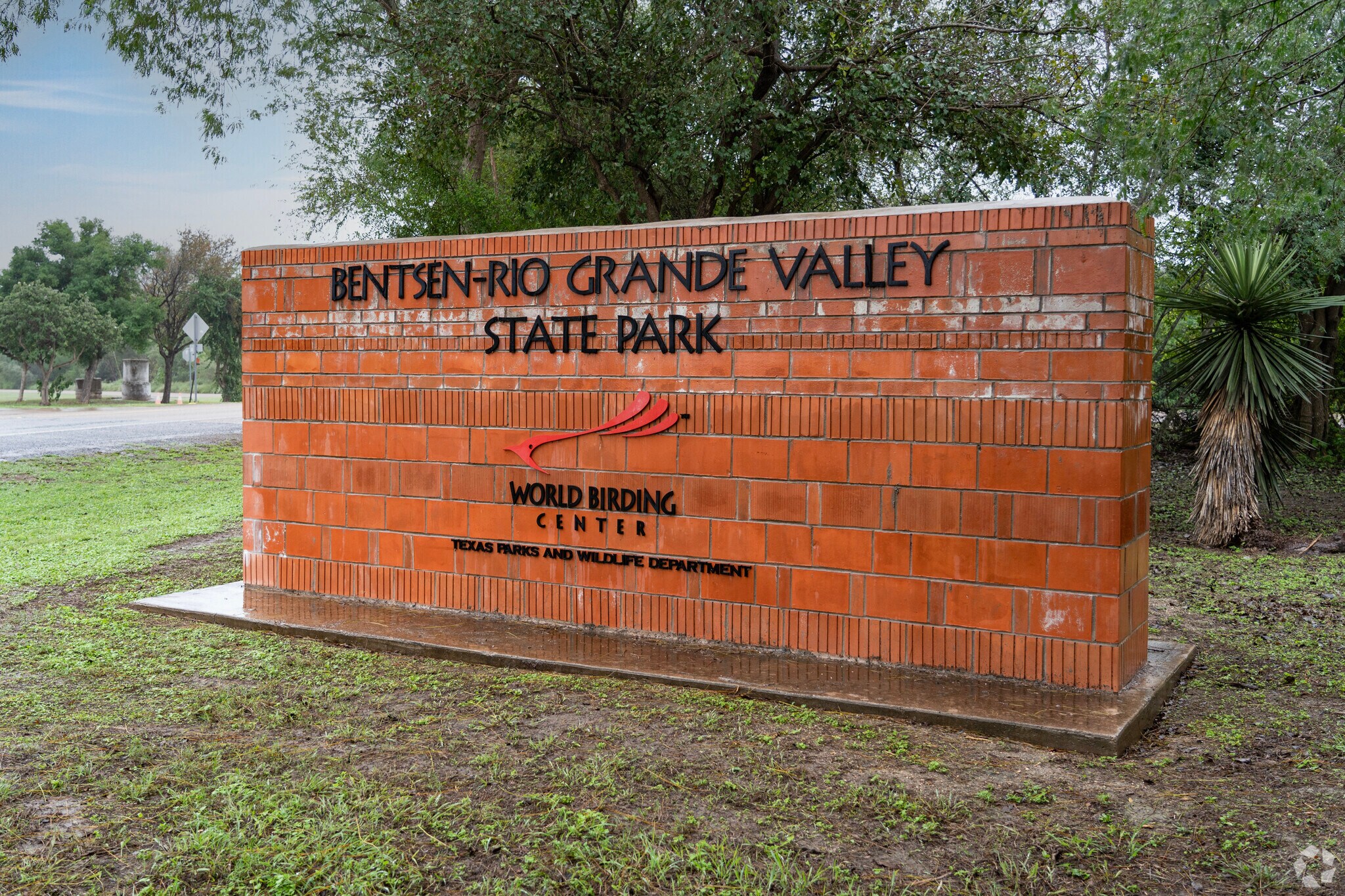 About 360 bird species have been recorded in the Bentsen State Park.