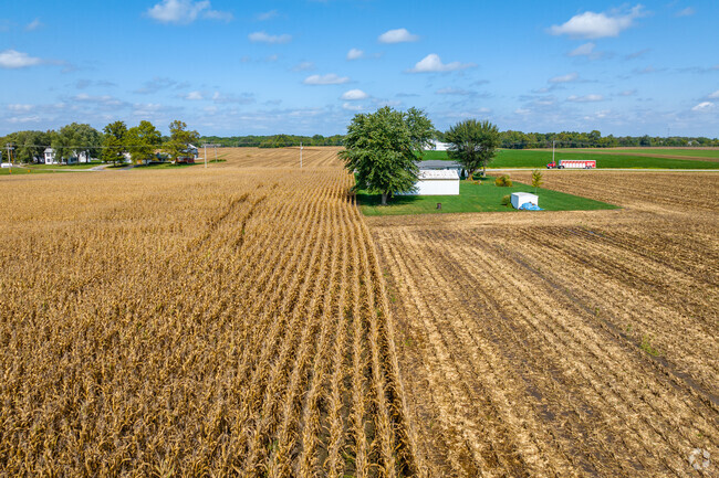 From seedlings to towering stalks, witness the life cycle of corn in Fairview Heights.