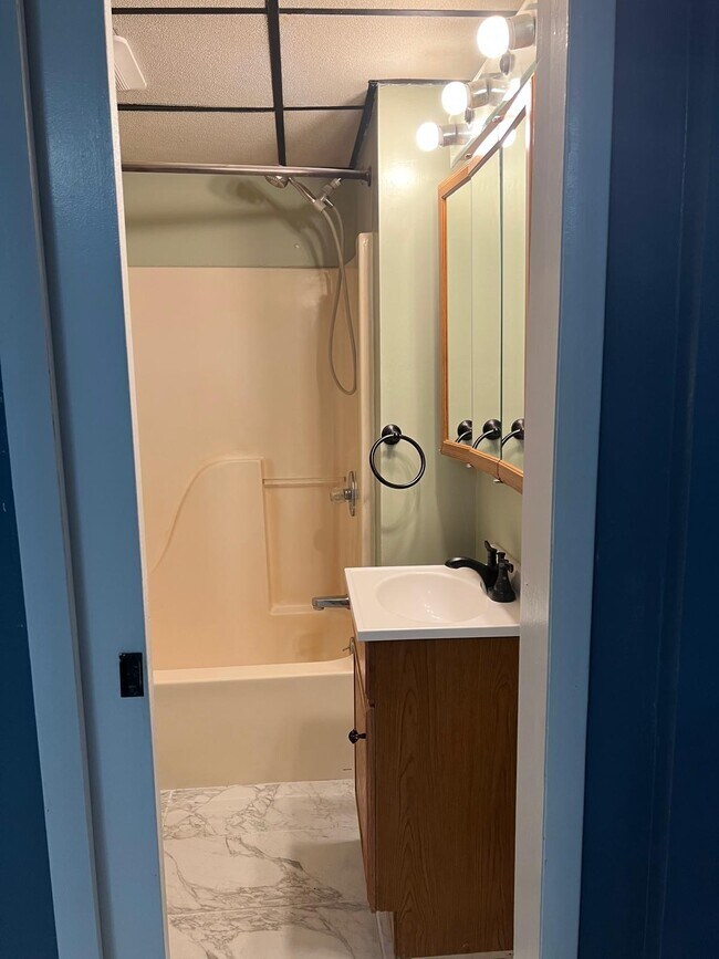 2 Tracy St unit 2 Bedroom, Binghamton, NY 13905 - photo 5