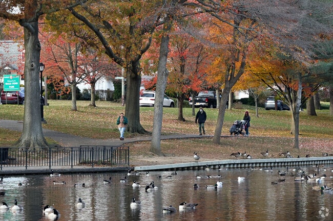 Local residents love walking around the pond at Halls Pond Park in West Hempstead.