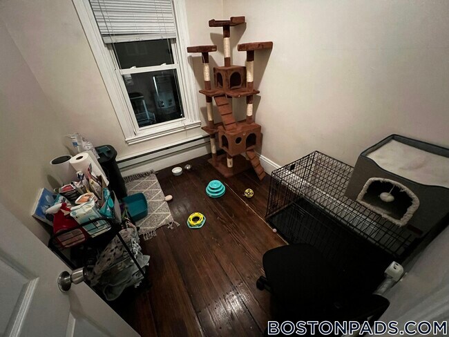 42 Hillside St unit 2, Roxbury Crossing, MA 02120 - photo 4