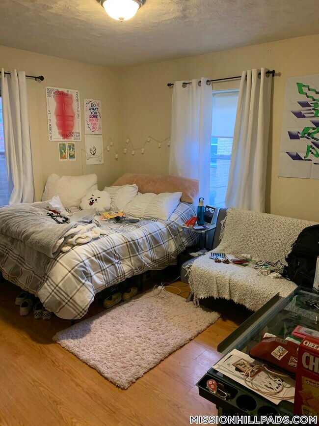 2 Shepherd Ave unit 2, Boston, MA 02115 - photo 5