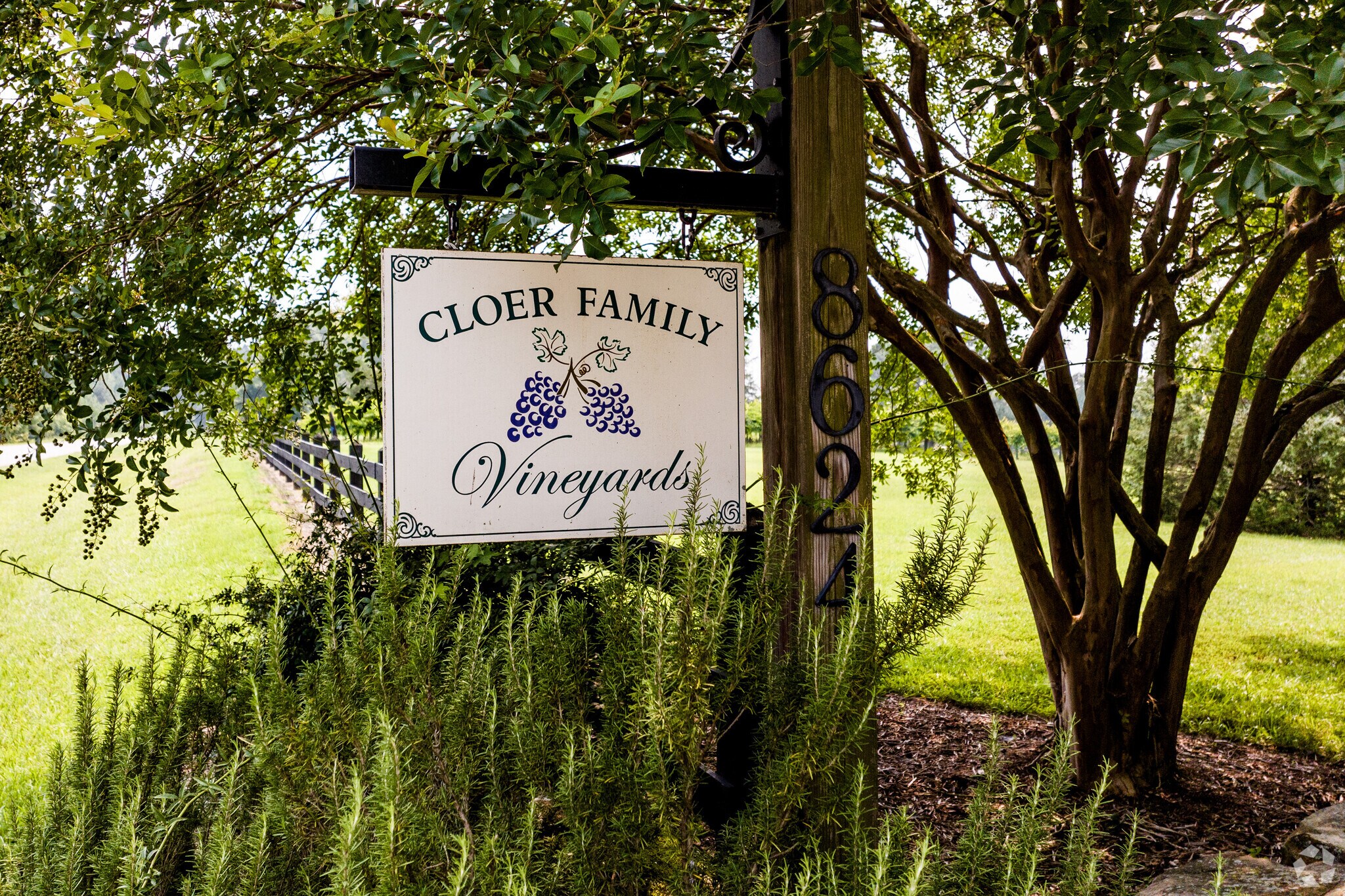 Cloer Family Vineyards is a locally owned family business.