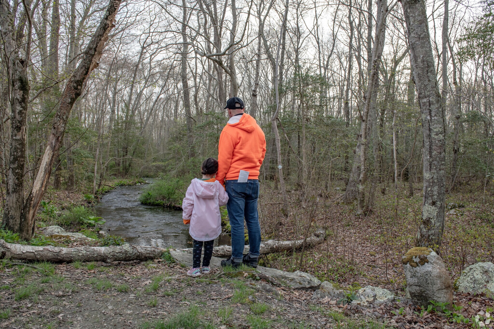 Weetamoo Woods is a Tiverton Four Corners nature preserve that is enchanting for everyone.