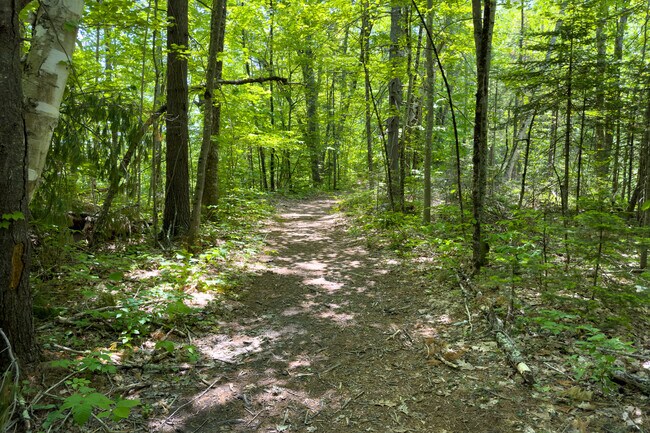 Cummings Preserve trail runs along the Presumpscot River just south of the Dundee Pond.