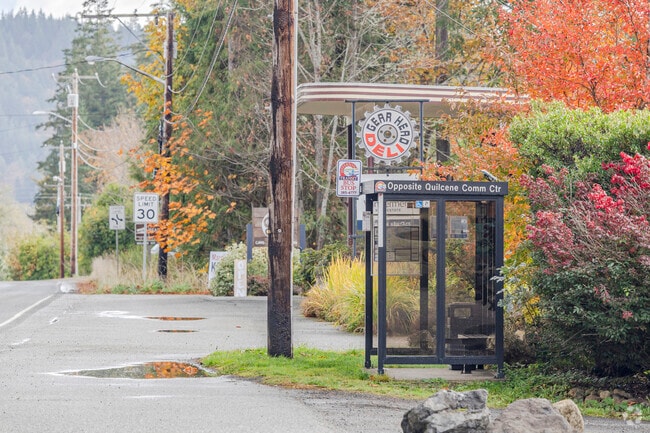 A convenient bus stop located on Hwy-101 in Quilcene WA.
