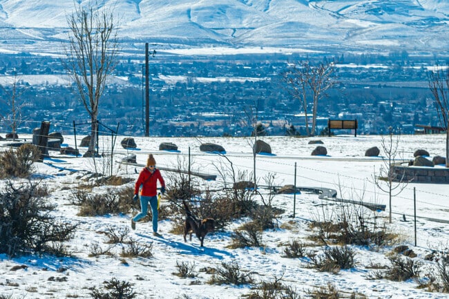 Cowiche Canyon is one of many places to mountain bike or take your pet for a walk.