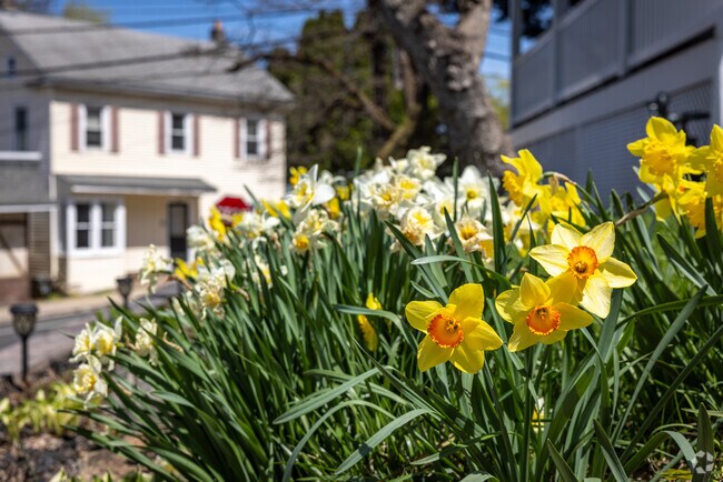 Hampton, NJ is a small, semi-rural town with a big heart and even bigger beauty.