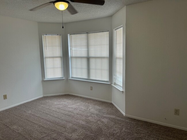 master bedroom with ceiling fan, new carpet and paint