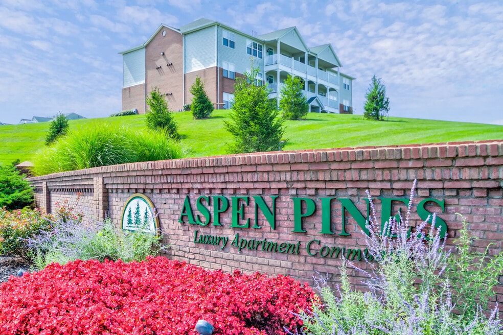 Aspen Pines, Wilder, KY 41071 - photo 1