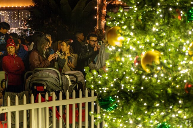 Cozy up by the Christmas tree with family at Night of Lights.