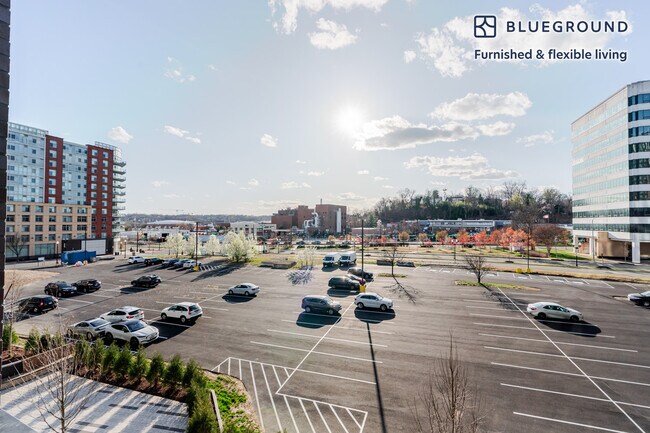 3030 Potomac Ave unit FL3-ID1031, Arlington, VA 22202 - photo 5