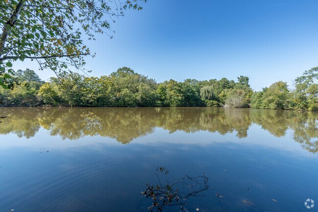 The serene waters of Geiger Lake in Deer Park has turtles, birds and other local fauna.