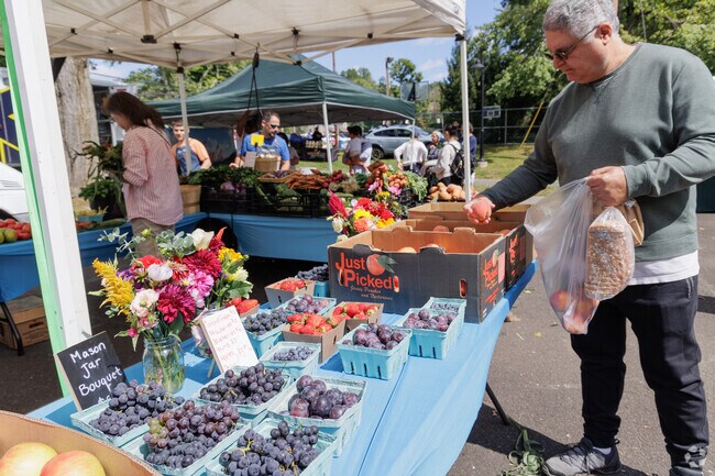 There are lots of fresh fruits and vegetables at the Harrington Park Farmers Market.