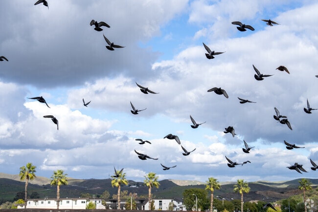 Beauty is everywhere you look in the Horsethief Canyon Ranch community.