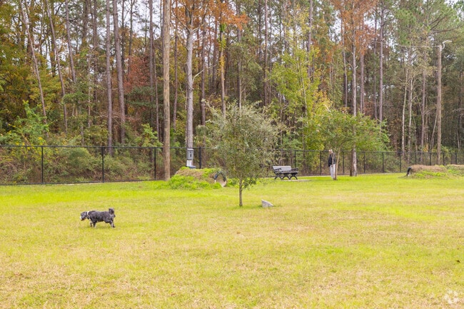 Fetch Park in Long Beach offers 2.5 acres for dogs to play off-leash.
