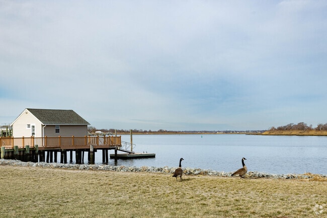 Raised homes with docks and ducks are a familiar waterfront scene in Island Park.