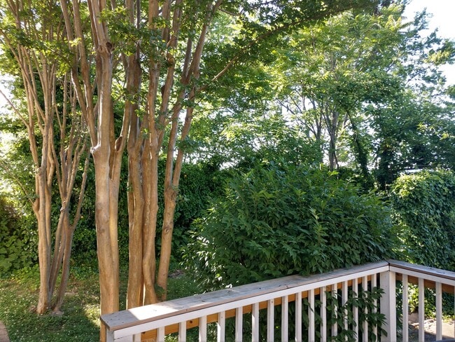 821 Vine St, Chattanooga, TN 37403 - photo 4