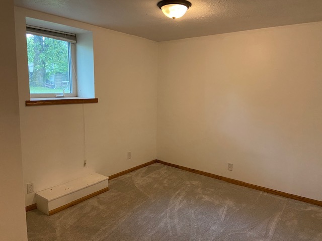Basement Bedroom