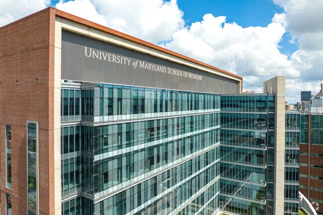 University of Maryland-Baltimore School of Medicine is located right next to Hollins Market.