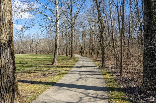 Alum Creek Trail is lined with trees and that supply shade for those extra sunny days