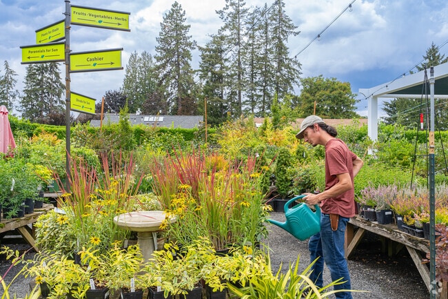 Drake's 7 Dees is a beloved local gem for plants, landscaping and garden supplies.