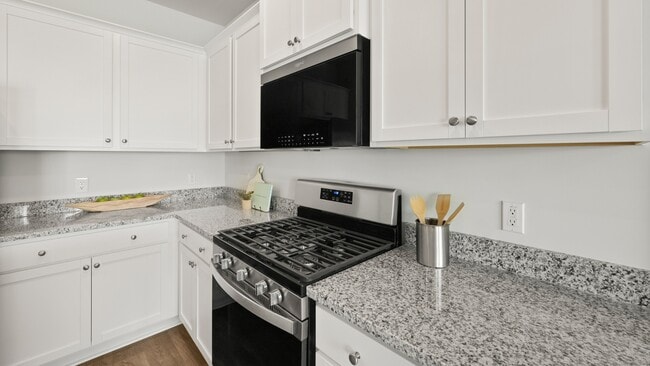 304 Bluebell Way, Moncks Corner, SC 29461 - photo 4