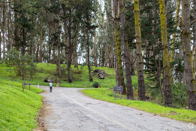 A serene trail winds through the towering trees at Junipero Serra County Park.