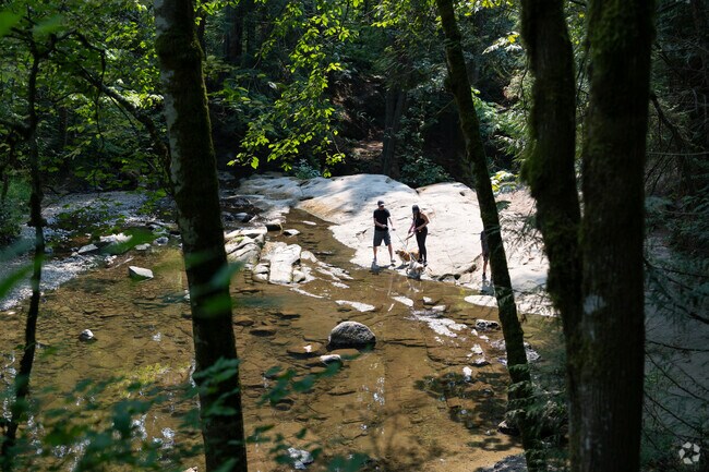 Enjoy the wilderness and cool pools for your dogs at Whatcom Falls Park.