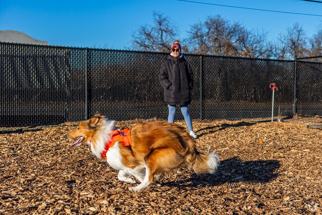 Center Island Dog Park near Bayville is popular for pets and owners.