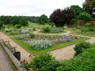 Hofbauer Sensory Garden Character.jpg