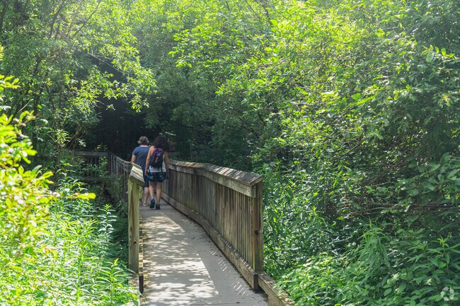 Locals walk down the Appalachian trail of Thundering Brooks Falls near Bridgewater.