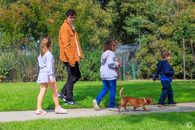 Walking the dogs near the wetlands in the Sutter neighborhood.