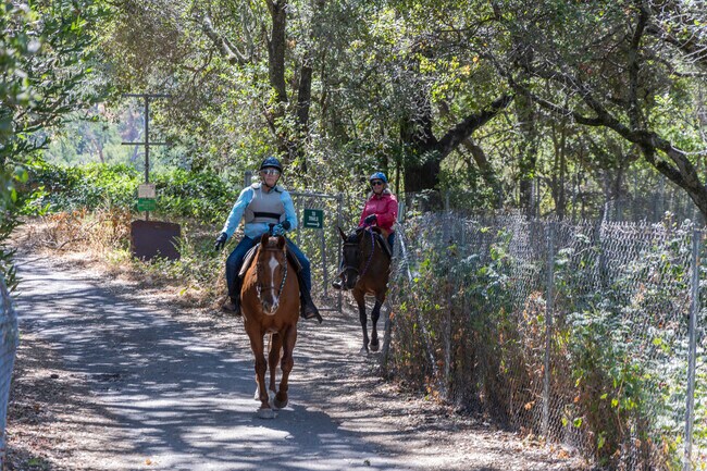 Shurtleff's Skyline Wilderness Park features a trail system perfect for horse back riding.