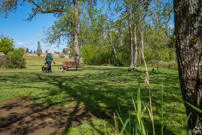 Walk along the trails at Hillendale Park in Hillendale, Oregon City.